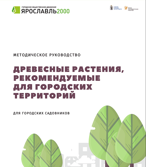 Ассортимент растений
