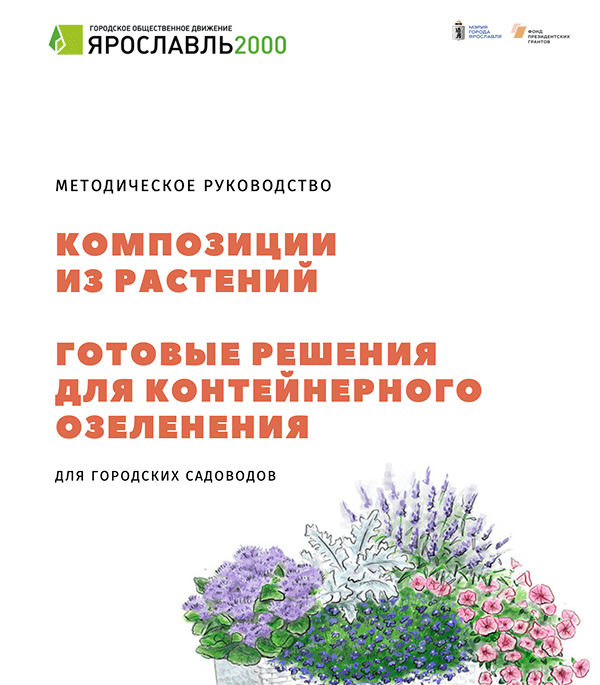 Контейнерное озеленение